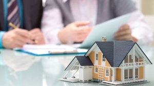 Chanh Chấp - Thu Hồi Nợ